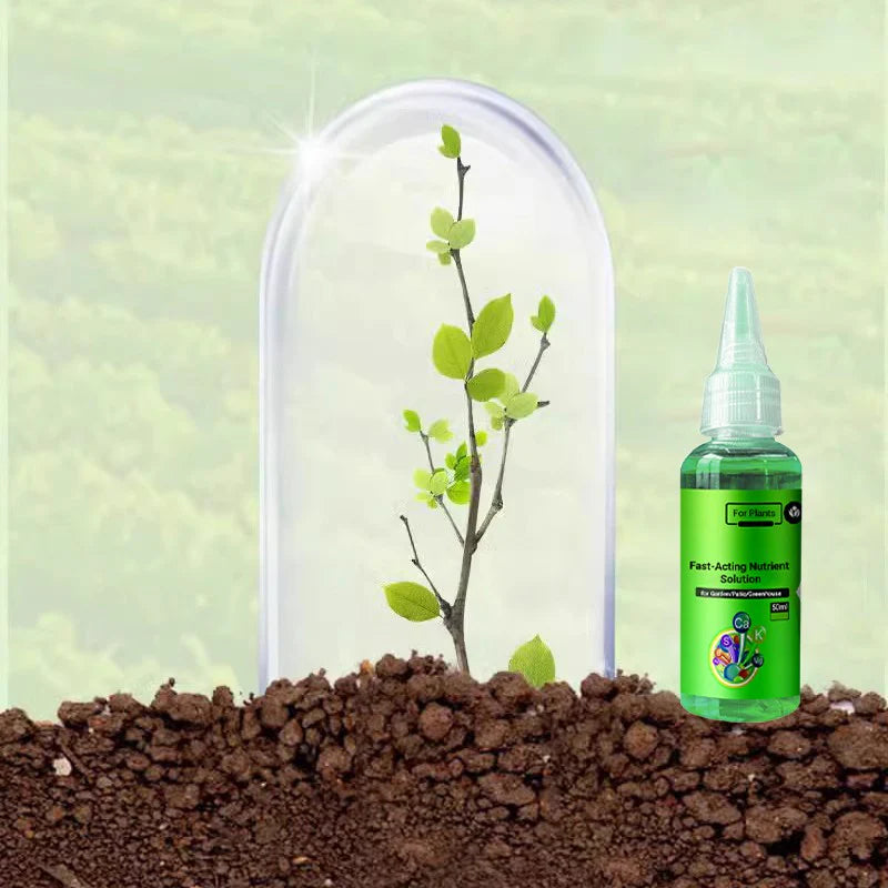 Ser crestere si renastere plante - VerdoMax